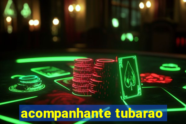 acompanhante tubarao